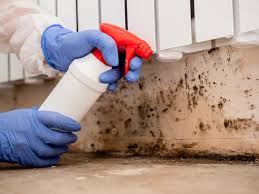 Asbestos and Lead Testing During Mold Inspection